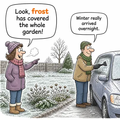 frost (don, kırağı) karikatürü — diyalogla bağlam içinde öğren