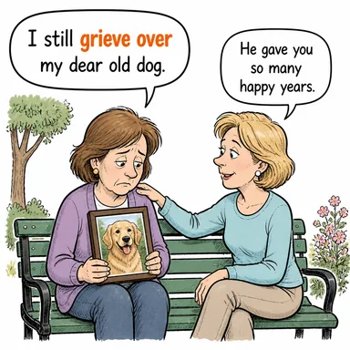 grieve over (-e kederlenmek, -e yas tutmak) karikatürü — diyalogla bağlam içinde öğren