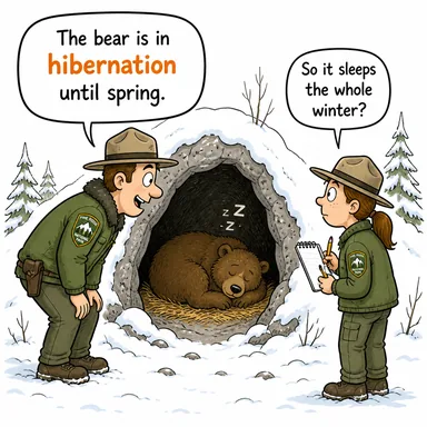 hibernation (kış uykusu) karikatürü — diyalogla bağlam içinde öğren