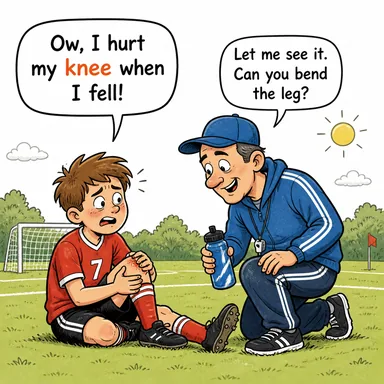knee (diz) karikatürü — diyalogla bağlam içinde öğren