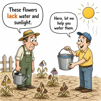 lack (eksiklik, yokluk, (fiil: yoksun olmak)) karikatürü — diyalogla bağlam içinde öğren