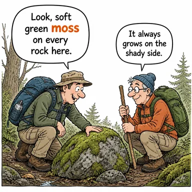 moss (yosun) karikatürü — diyalogla bağlam içinde öğren