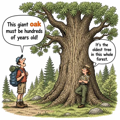 oak (meşe ağacı) karikatürü — diyalogla bağlam içinde öğren