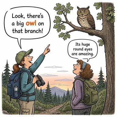 owl (baykuş) karikatürü — diyalogla bağlam içinde öğren