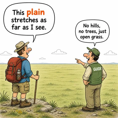 plain (ova, sade, yalın) karikatürü — diyalogla bağlam içinde öğren