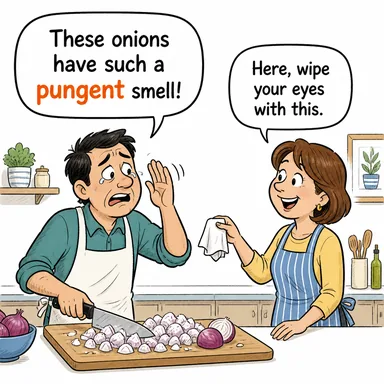 pungent (keskin (koku/tat), acı, sert) karikatürü — diyalogla bağlam içinde öğren