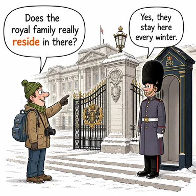 reside (ikamet etmek, yaşamak, bulunmak) karikatürü — diyalogla bağlam içinde öğren