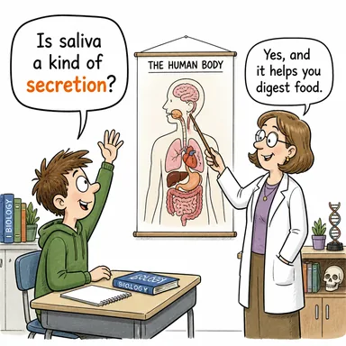 secretion (salgı, salgılama) karikatürü — diyalogla bağlam içinde öğren