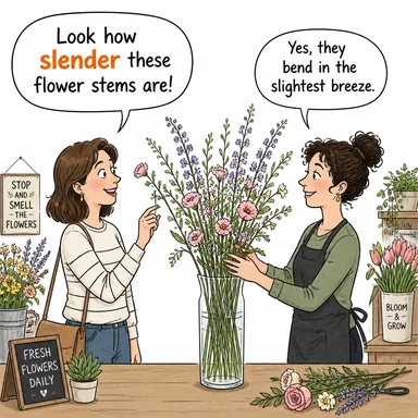 slender (ince, narin, zayıf (ihtimal)) karikatürü — diyalogla bağlam içinde öğren