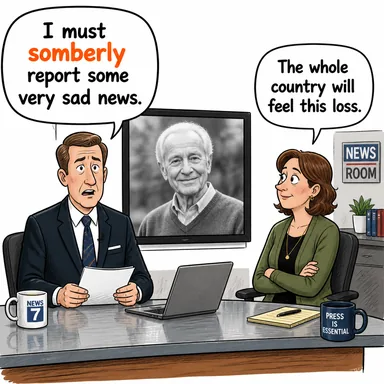 somberly (ağırbaşlılıkla, hüzünlü bir şekilde) karikatürü — diyalogla bağlam içinde öğren