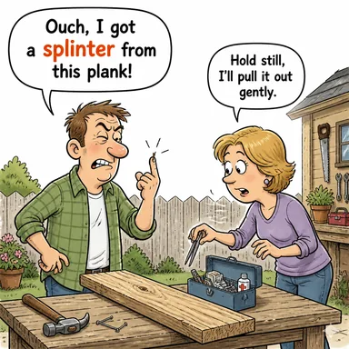 splinter (kıymık; parçalanmak, gruplara ayrılmak) karikatürü — diyalogla bağlam içinde öğren