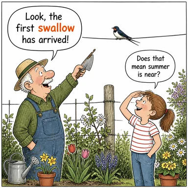 swallow (kırlangıç) karikatürü — diyalogla bağlam içinde öğren