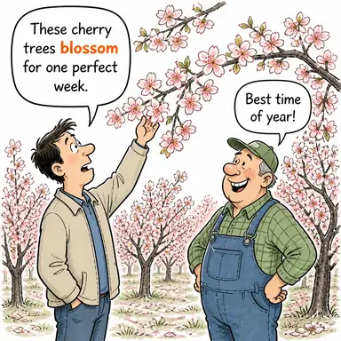 blossom (çiçek açmak, gelişmek, canlanmak) karikatürü — diyalogla bağlam içinde öğren