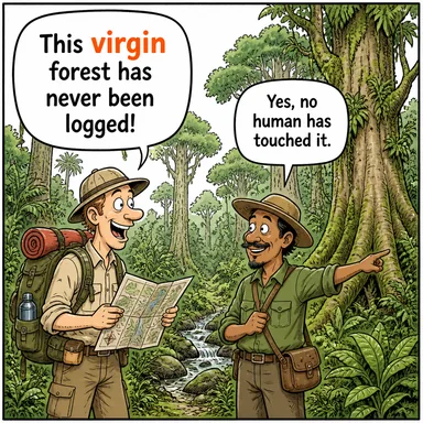 virgin (bakire, el değmemiş, saf) karikatürü — diyalogla bağlam içinde öğren