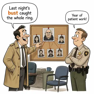 bust (iflas etmek, baskın yapmak, patlatmak) karikatürü — diyalogla bağlam içinde öğren